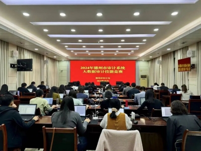 2024年德州市审计系统大数据审计技能竞赛成功举办