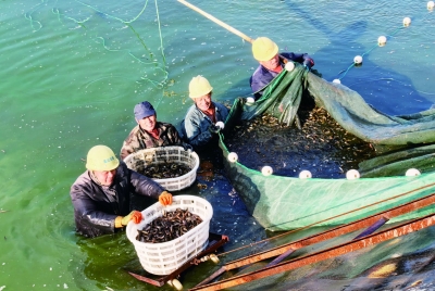 乐陵铁营镇西堡村：一湾“红水”活起来