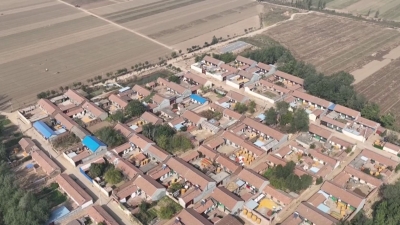 陵城区：归雁领航大陈村 兴产业富村民