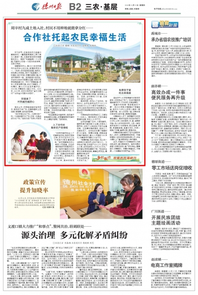 德报“乡村振兴·双镇百村调研行” | 周辛村：合作社托起农民幸福生活 