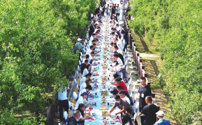 组诗｜张清昌：乐陵夏津采风