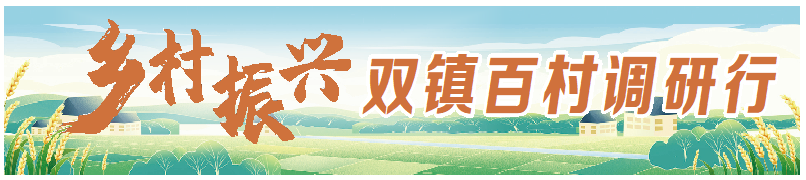 德报“乡村振兴·双镇百村调研行” | “红黄”产业带富锅培口村