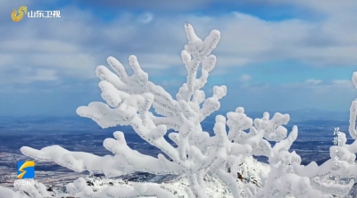 闪电评论｜纪录片《昆嵛》让齐鲁自然之美人文之美诗意绽放