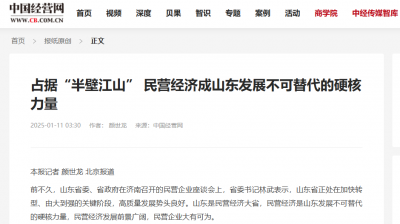 占据“半壁江山” 民营经济成山东发展不可替代的硬核力量