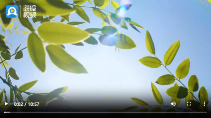 微纪录丨追光同行——抱团抗癌记