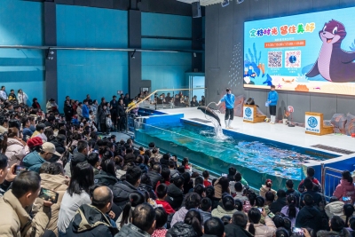 聚焦抓项目扩投资促消费 | 我市首发经济蓬勃兴起