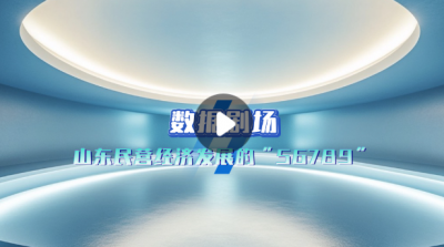 数据剧场｜从“56789”中看山东民营经济发展密码