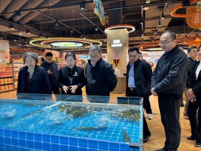 中国商业联合会商业店装与展陈行业分会到访德百集团