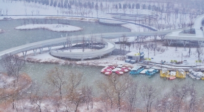诗·图｜雪梦：春雪