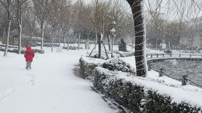 诗 · 图｜叶凡圣：春雪