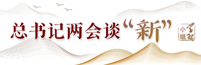 “先立后破、因地制宜、分类指导”｜总书记两会谈“新”②