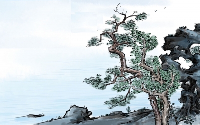 诗｜范恩露：七律 · 故槐有感