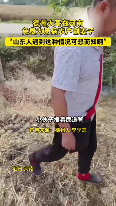 微光工程 | 德州大哥在河南免费为患病农户割麦子“山东人遇到这种情况可想而知啊”