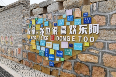 小艾草撬动大产业