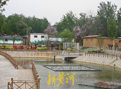 让钱包鼓起来、让游客留下来！黄河岸边小山村用“艾”撬动大产业丨行走黄河