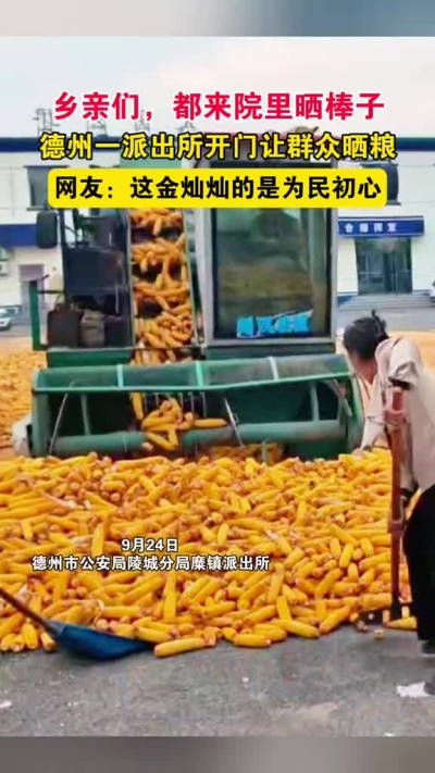 微光工程 | 乡亲们，都来院里晒棒子！德州一派出所开门让群众晒粮