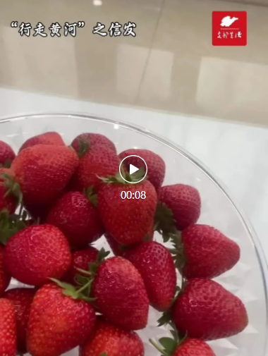 聊城，你有点“反差萌”丨行走黄河