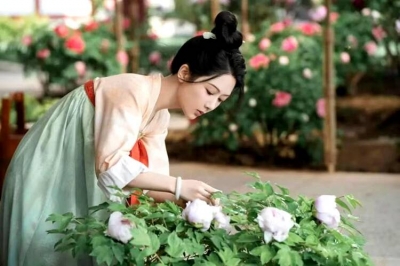 从一朵花，到一个产业链！​穿越千年风华，打卡菏泽牡丹季的满园春光