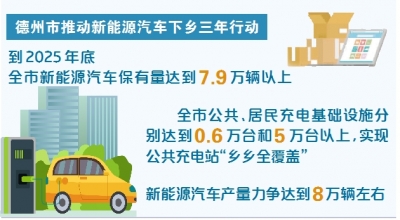 【德报·民生调查】充电桩下乡，如何更顺畅？