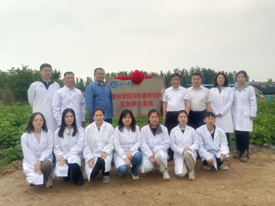创新推进“高校科研+研学”模式 | 德州学院马铃薯研究所实验研究基地在德城区电大实训基地揭牌
