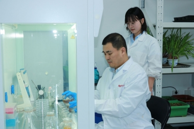 中新科农与云南大学携手科技攻关    成功破解根结线虫防治难题