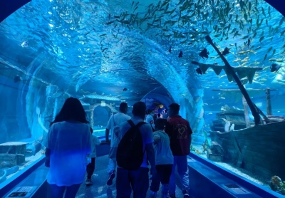 德州市妇幼保健院开展“海洋之梦 与爱同行”助残日活动