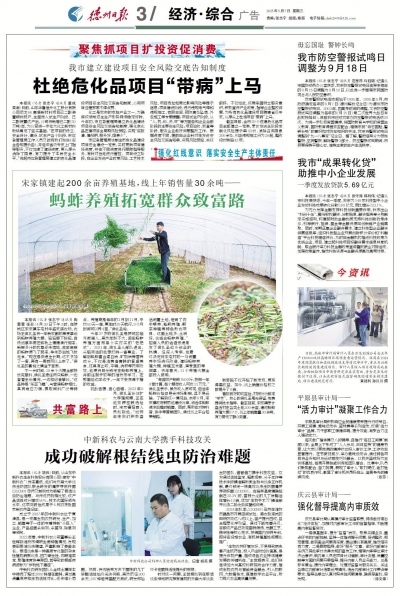 陵城区宋家镇建起200余亩养殖基地 ：蚂蚱养殖拓宽群众致富路