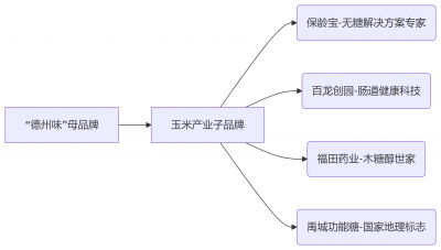 打造“中国玉米科技之芯”新名片 | 德州玉米品牌推广策略发布