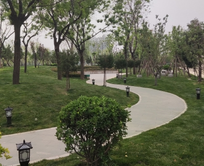 临邑构建15分钟绿色生活圈 | 用口袋公园串起城市方寸之美
