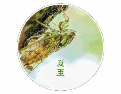 散文｜贾敬德：蝉鸣嘹亮夏至起