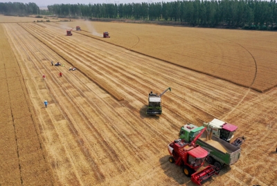 让更多“丰收在望”变成“丰收到手”——“三夏”机收减损一线观察