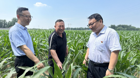 支持实体经济 服务地方民生 | 建行德州分行荣膺全国文明单位
