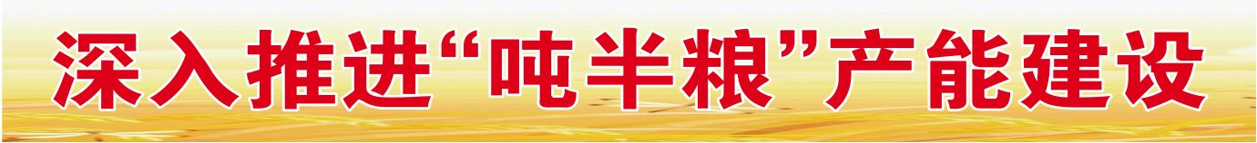 深入推进“吨半粮”产能建设 | 种粮大户孙洪旗的“高产经”