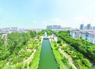 齐河：城乡蝶变  “绿色”绘就幸福景