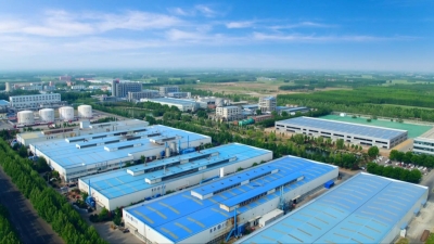 灼言 | 一群“冠军”撑起山东发展“硬脊梁”