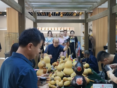 临邑：千名“发展顾问”助力乡村全面振兴