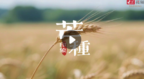 芒种迎高考：“芒”有所获，“种”有所得