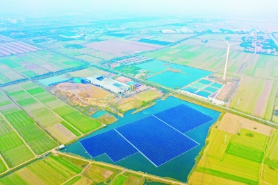 【改革攻坚进行时·聚焦德州集成改革】德州持续探索盐碱地修复治理及开发利用 | 盐碱地上种出新希望