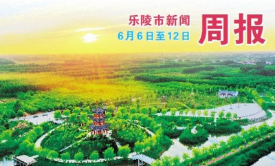 乐陵市新闻周报（6月20日至6月26日）