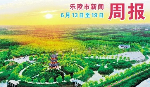 乐陵市新闻周报（6月13日至6月19日）