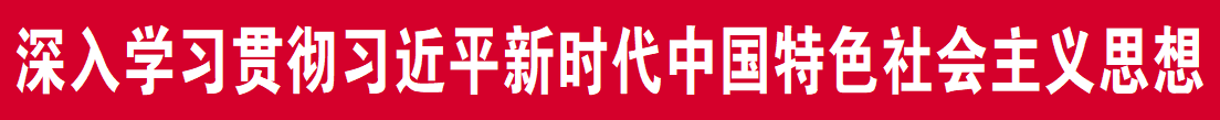 宁津县委常委、宣传部部长王逢阳：“三个聚焦”激活消费“乘数效应”