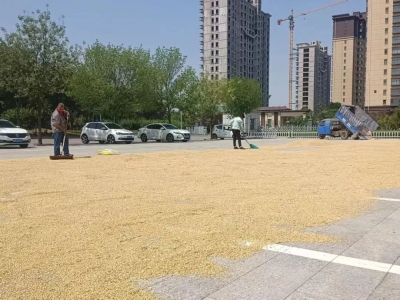 我为群众办实事 | 德州：群众小事不“小视”  件件都是心上事