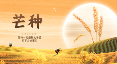 德报说节气 | 今日芒种！忙有所得，种有所获