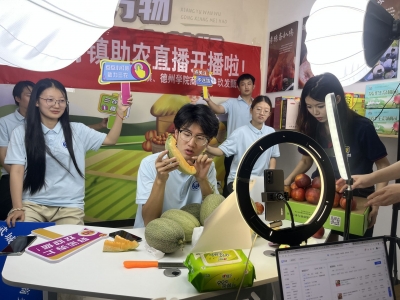 武城：电商联盟激活乡村振兴新动能