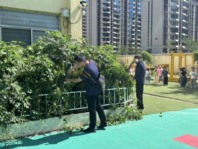 德州园林：绿化服务惠民生
