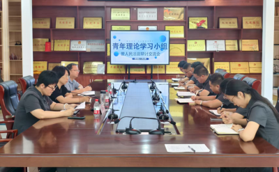 武城法院召开人民法庭研讨交流会