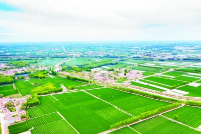 兴农彰旅 盐碱地里“好风光” | 禹城市推动文旅融合高质量发展系列报道②