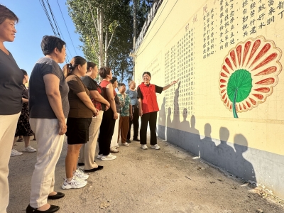 乐陵市丁坞镇：“润‘坞’有声”让理论宣讲“乡土味”十足