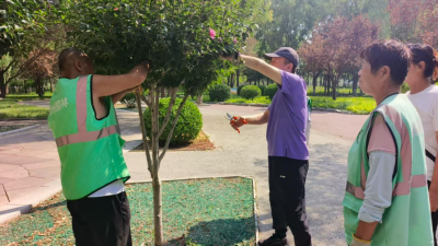 德州园林：组织开展夏花植物修剪技术培训