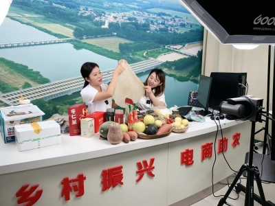 “云端瓜田”重构农业价值链 | 禹城市安仁镇打造18个电商小院、5个特色院落带动农业转型